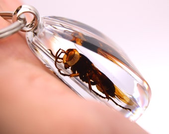 Real Wasp Resin Keychains and Bracelets, Handcrafted Nature-Inspired Accessories, Unique Gifts for Bug Enthusiasts