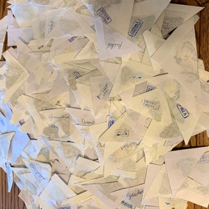 Collezione di farfalle piegate: crea splendide esposizioni di insetti, progetti artistici con insetti, kit di diffusione fai-da-te disponibile