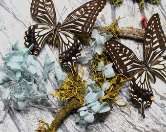 May include: Two black and white butterflies with orange accents are displayed on a white wooden surface with dried blue and yellow flowers.