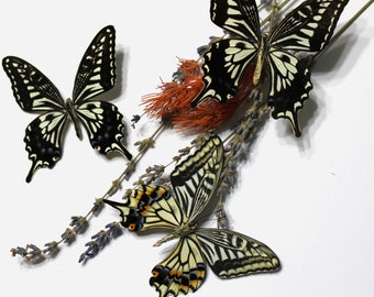 May include: Three butterflies with black and white patterned wings are arranged with dried lavender and orange-red accents. The butterflies have intricate wing patterns and are set against a white background, creating a natural, decorative theme.