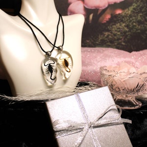 Heart-shaped DUO Scorpion in Resin. Perfect for Stylish Accessories. Includes Silver Gift Box and UV LED Flashlight