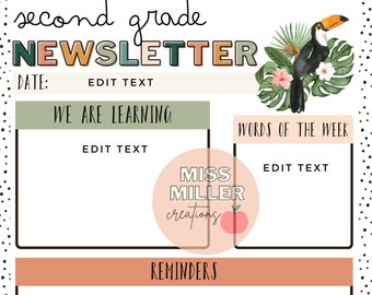 Boho Tropics Newsletter [editable]