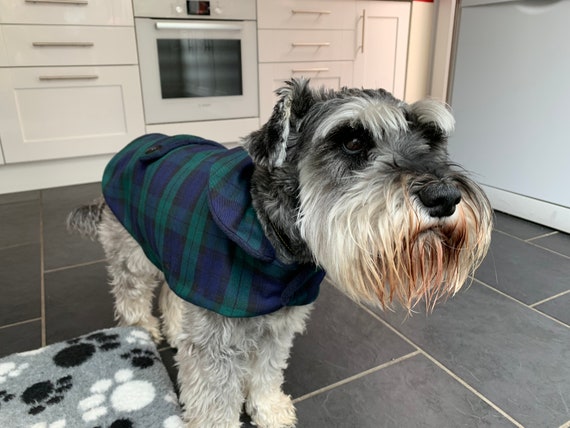 Handmade dog sale coats uk