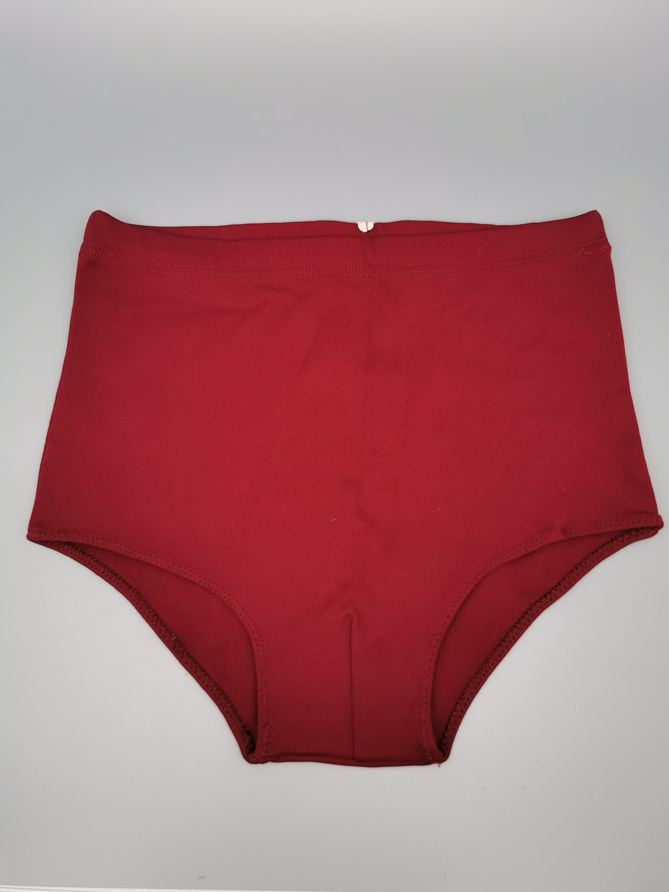 Charlemagne Navy Briefs  Men's sheer Bikini Briefs in red Embroidered Mesh