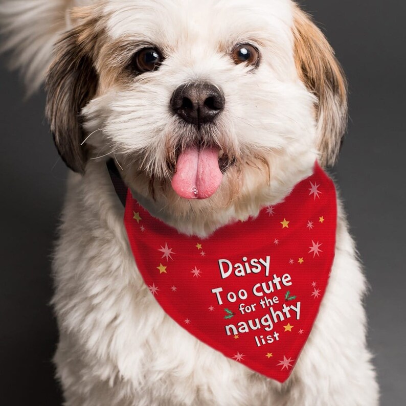Personalised 'Too cute for the naughty list' Dog Bandana | Pet Christmas Gift image 3