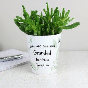 May include: White ceramic planter with green leaves and the text "you are sow cool Grandad love from James xxx"