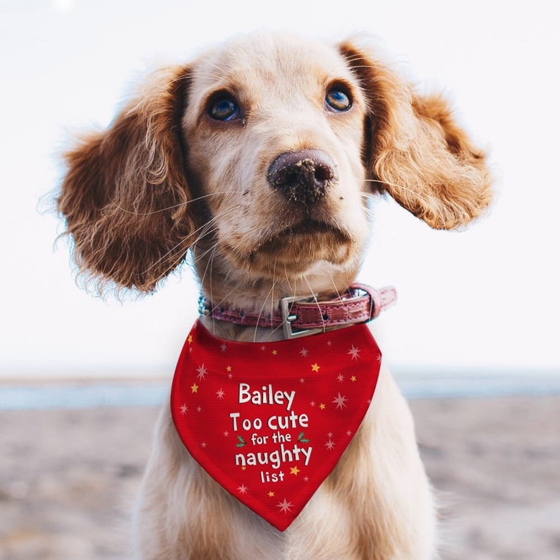 Personalised 'Too cute for the naughty list' Dog Bandana | Pet Christmas Gift image 2