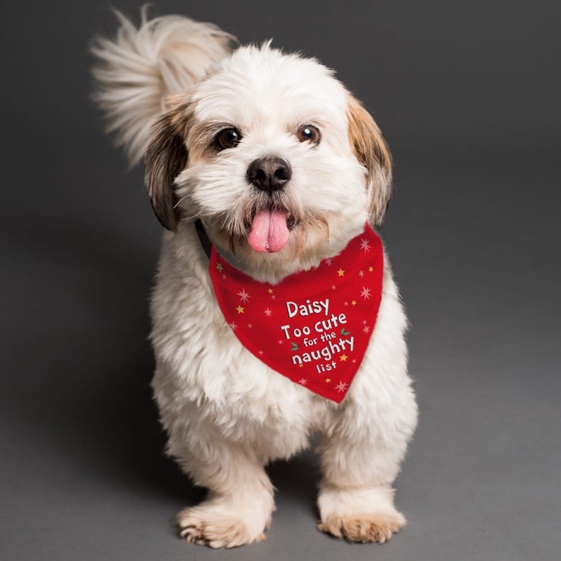 Personalised 'Too cute for the naughty list' Dog Bandana | Pet Christmas Gift image 4