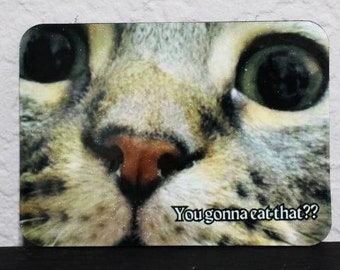 You Gonna Eat That? Fridge Magnet , Refrigerator Magnets , Cats