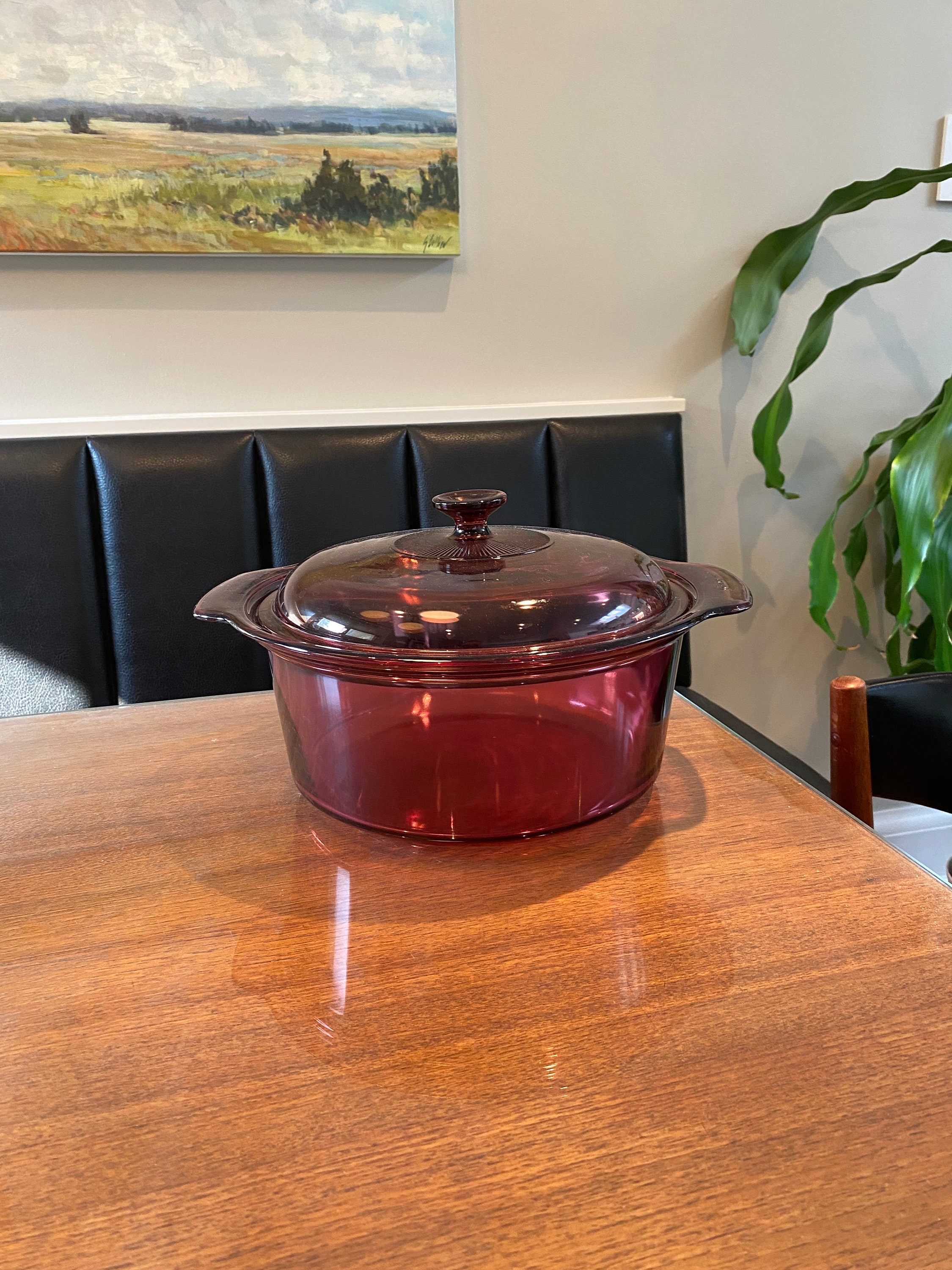 Visions 5L Round Dutch Oven With Glass Lid/Cover