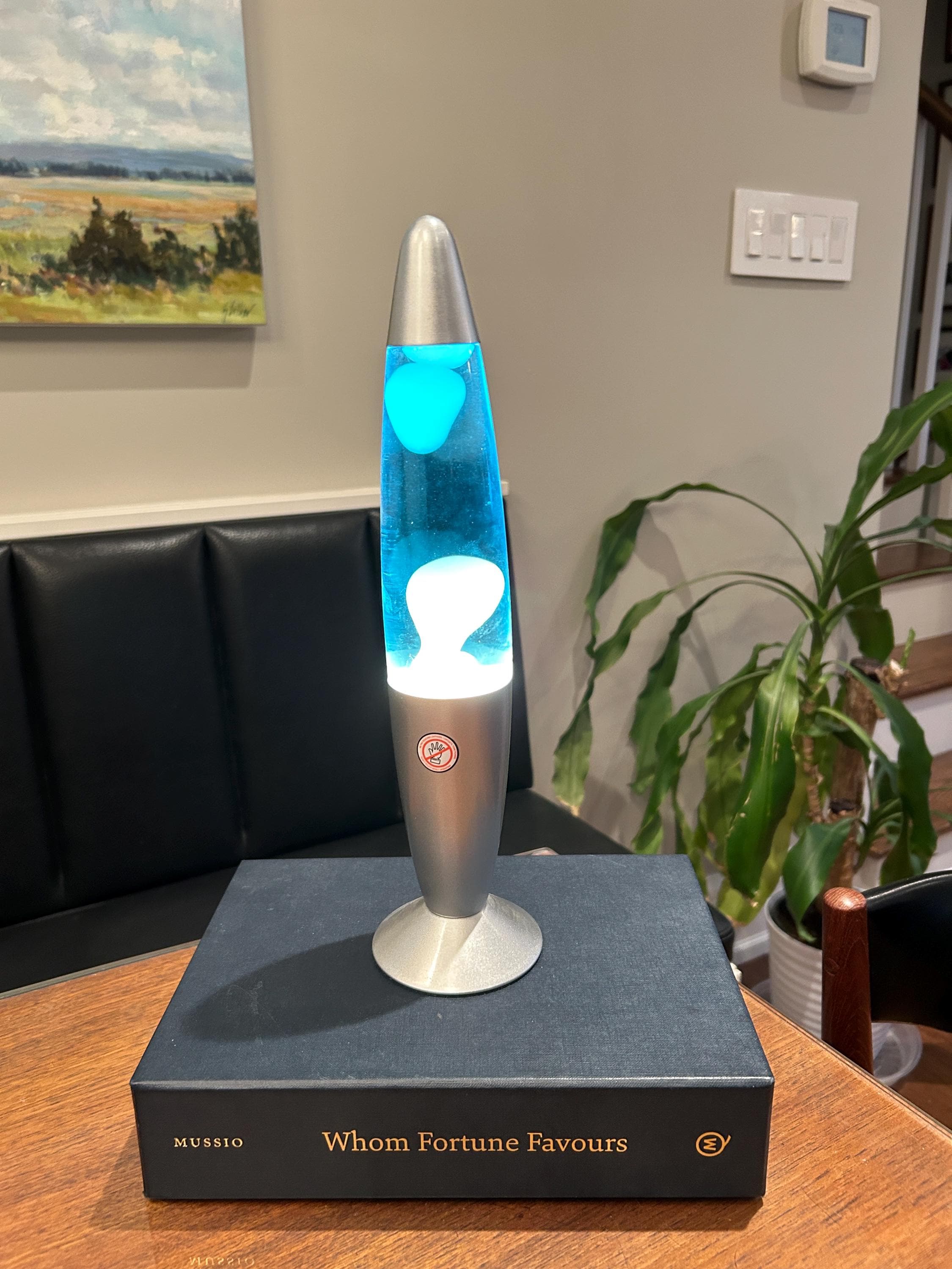 Lava Lamp Starship Rocket 2個 アメリカ製 Starship Lava Lamp - Etsy