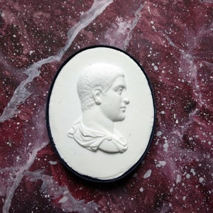 Könnte beinhalten: Ein weißes Gipsrelief eines Männerprofils in einem ovalen Rahmen. Der Rahmen ist dunkelblau und der Hintergrund ist rot und weiß marmoriert.