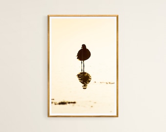 Stampa fotografica di uccelli all'alba, ARTE DA PARETE STAMPABILE, Stampa artistica della fauna selvatica, Stampa artistica della natura, Poster fotografico di decorazioni murali soleggiate, Download digitale