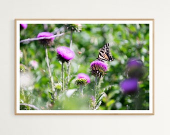 Stampa fotografica di farfalla in un prato fiorito, ARTE PARETE STAMPABILE, Stampa fotografica di flora gioiosa, Decorazione murale della natura colorata, Download digitale