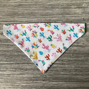 Colorful Cactus Pet Bandana