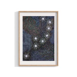 アボリジニの額入りプリント、鳥と花の壁アート、現代的な壁の装飾