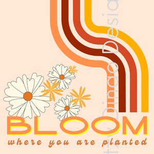 May include: Orange, yellow and brown retro-style stripes with white daisies and the text "BLOOM where you are planted".