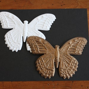 Découpes papillon
