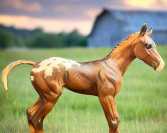 Espresso - Springtime Filly -10' Big Foa Espresso - Springtime Filly -10' Big Foa