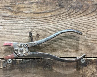 Late 1800s Hill's Hog Ringer Pliers, Cast Iron