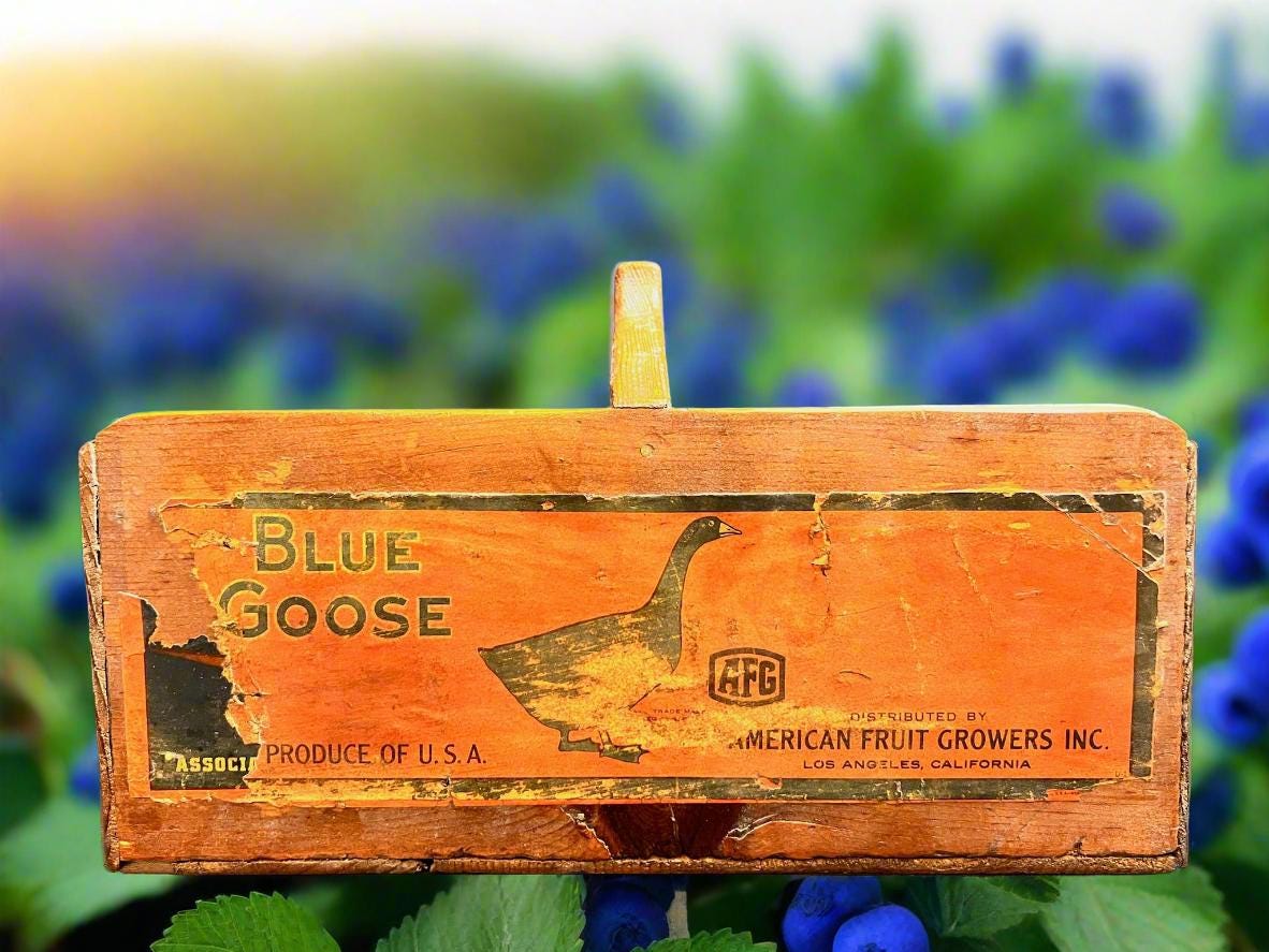 1920-40s Blue Goose, American Fruit Growers, Wood Fruit Box, with Handle