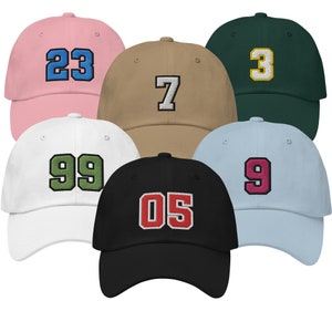 Gorra de papá personalizada con número de camiseta universitaria de Fairhope