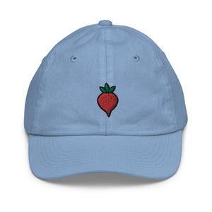 Gorra de béisbol juvenil Beet, hecha a mano, bordada, regalo para niños (varios colores)