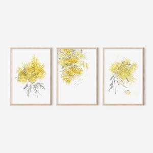 Set of 3 Mimosa Watercolor Prints: Floral Botanical Wall Art (Digital Download)