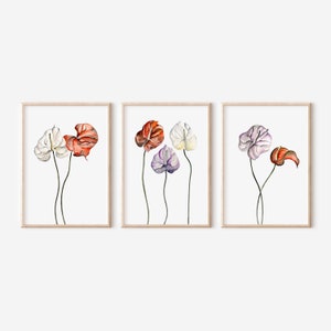 Watercolor Anthurium Print Set: Floral Botanical Wall Art (Digital Download)