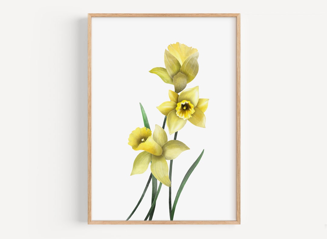 Yellow Daffodil Flower Print: Narcissus Wall Art (digital Download) - Etsy