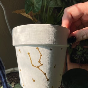 Konstellation växtkruka