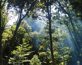 Digital Photograph, Photography, Landscapes, Nature