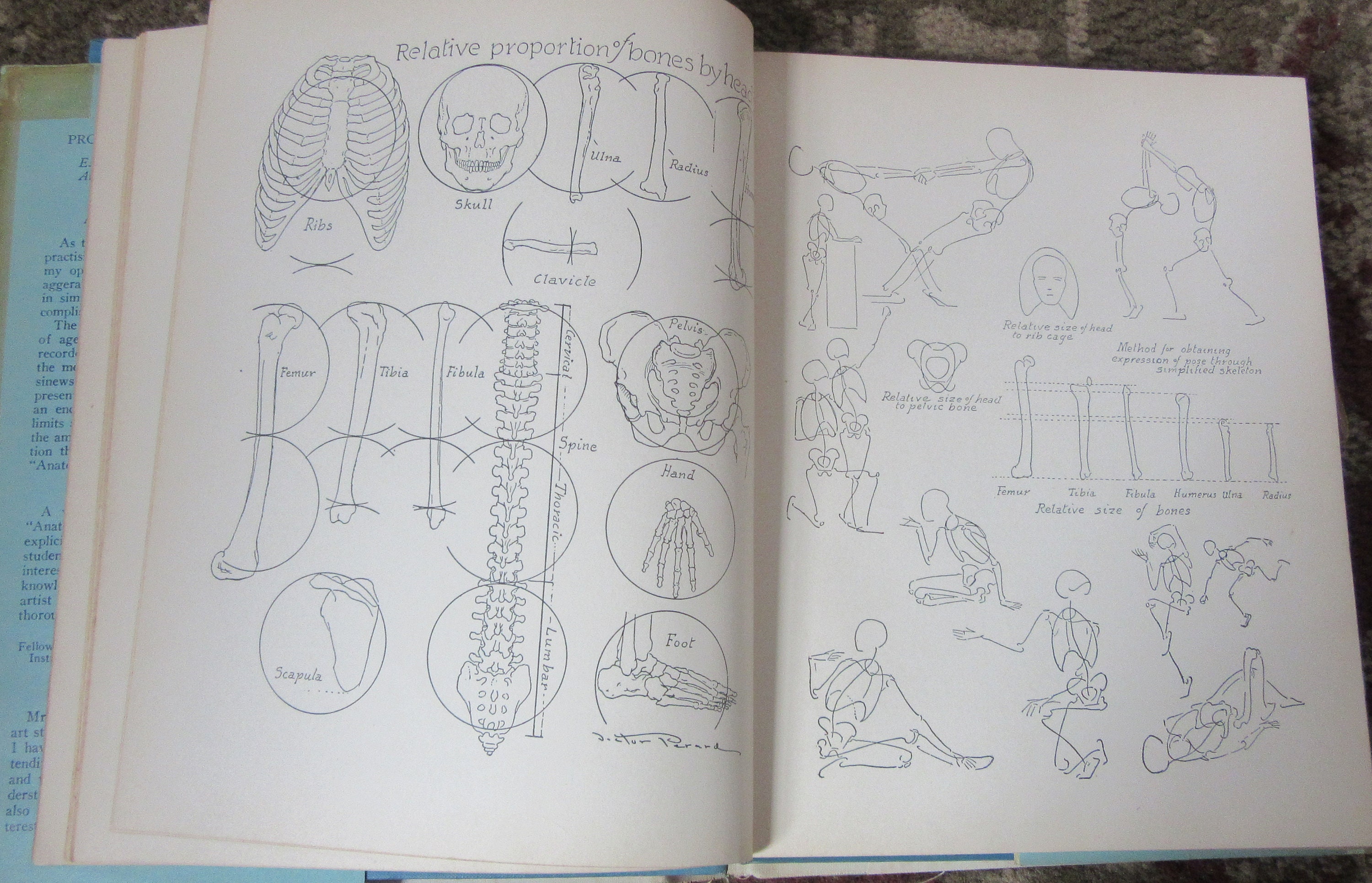 Vintage Art Instruction Book Anatomy and Drawing by Victor Perard Etsy