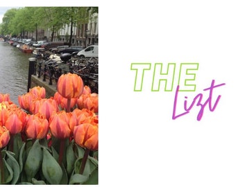 Amsterdam: Springtime Trip Planner