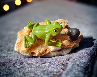 オーストラリアン オパールの上にいる緑のアマガエルとポッチ