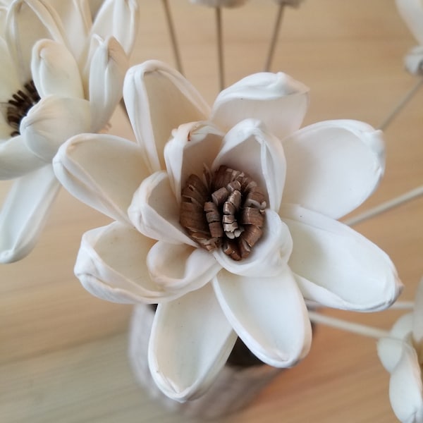 DIY stemmed Flowers ~ Sola Wood Flowers ~ Natural wood flowers ~ Rustic Flowers ~Stemmed Wood Flowers ~ Set of 5 or 10- Wedding Cake flowers