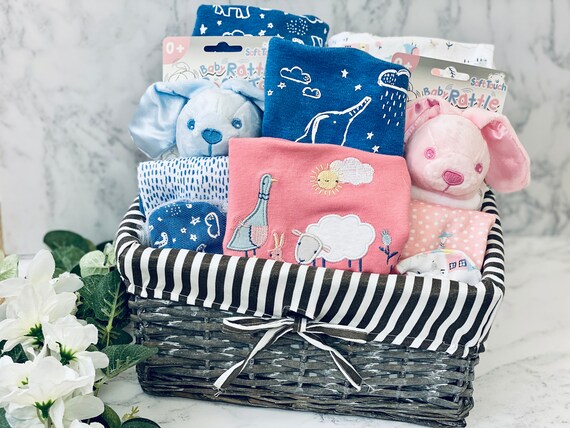 Gift basket for twins boy hotsell and girl
