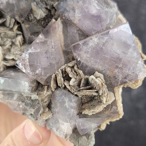 Op de afbeelding: Een cluster van paarse fluorietkristallen met een gelaagde, witte en grijze mineralenmatrix. De fluorietkristallen zijn doorschijnend en hebben een glazige glans.