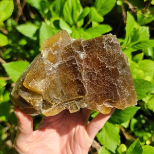 Large Golden Fluorite from Mine du Rossignol, Chaillac, Indre, France, Cubic Yellow Fluorite Crystals
