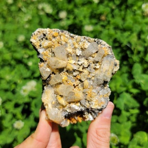May include: A cluster of clear quartz crystals embedded in a dark gray rock matrix. The crystals are translucent and have a slight yellow tint. The rock is rough and textured.