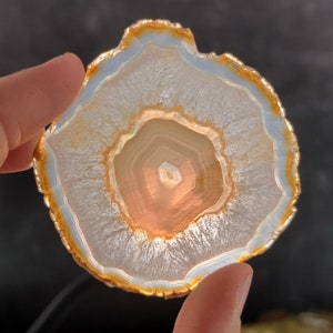 May include: A close-up of a round, white agate slice with a concentric pattern of brown and orange bands. The agate has a polished, shiny surface.