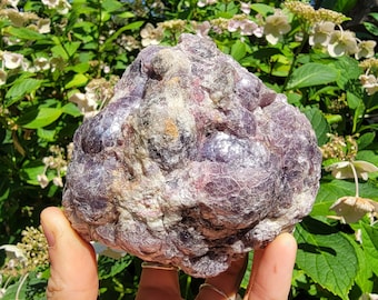 May include: A large, purple and gray lepidolite crystal with a rough, textured surface. The crystal has a natural, organic shape and is a beautiful example of this type of gemstone.