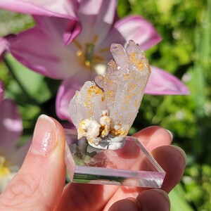Iron Stained Cholla de Vera Cruz Amethyst Cluster from Mexico, Mexican Lavender Amethyst Thumbnail Specimen