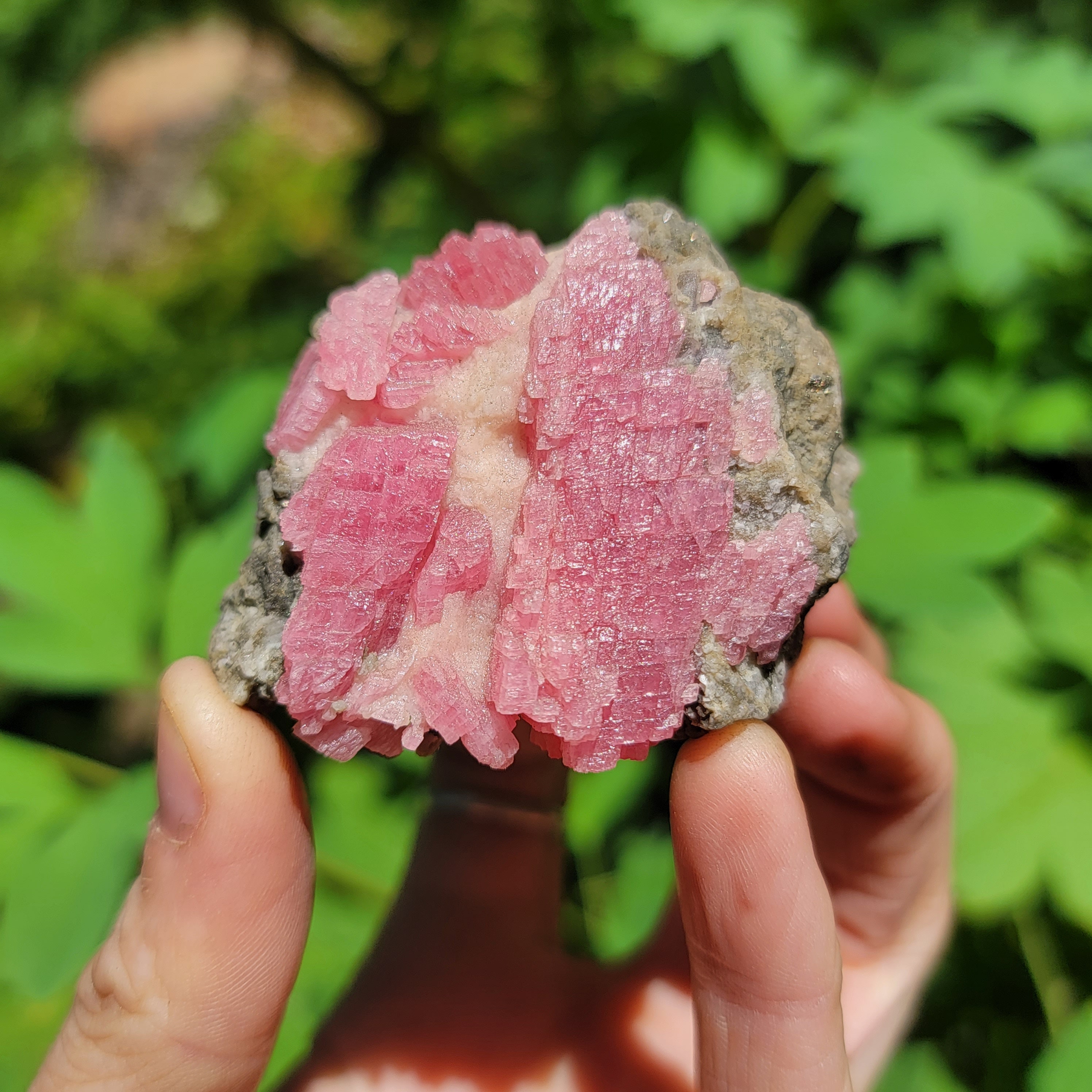 中国、梧桐鉱山産のマトリックス中のロードクロサイト、黄鉄鉱と蛍石を