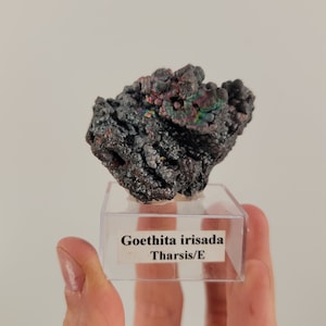 Könnte beinhalten: Ein kleines, irisierendes schwarzes Goethit-Mineralstück auf einem durchsichtigen Ständer. Das Etikett lautet "Goethita irisada Tharsis/E".