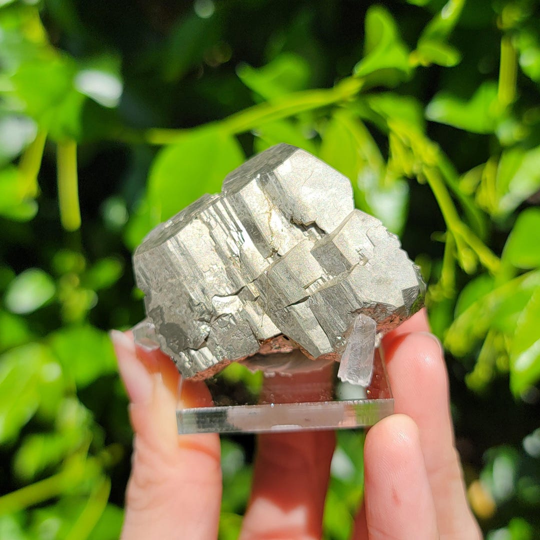 Quartz on Pyrite From Spruce Ridge, Washington, USA, American Pyrite ...