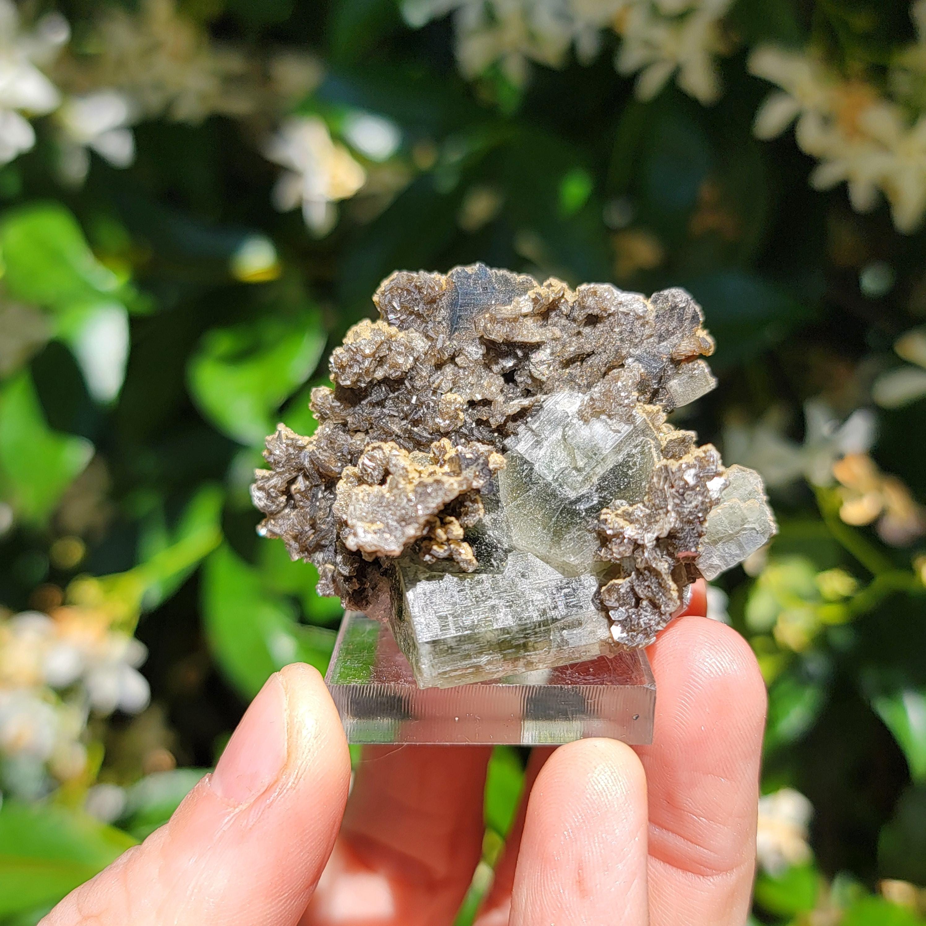 ポルトガル、パナスケイラ鉱山産の蛍石、硫砒鉄鉱、白雲母、水晶、緑色
