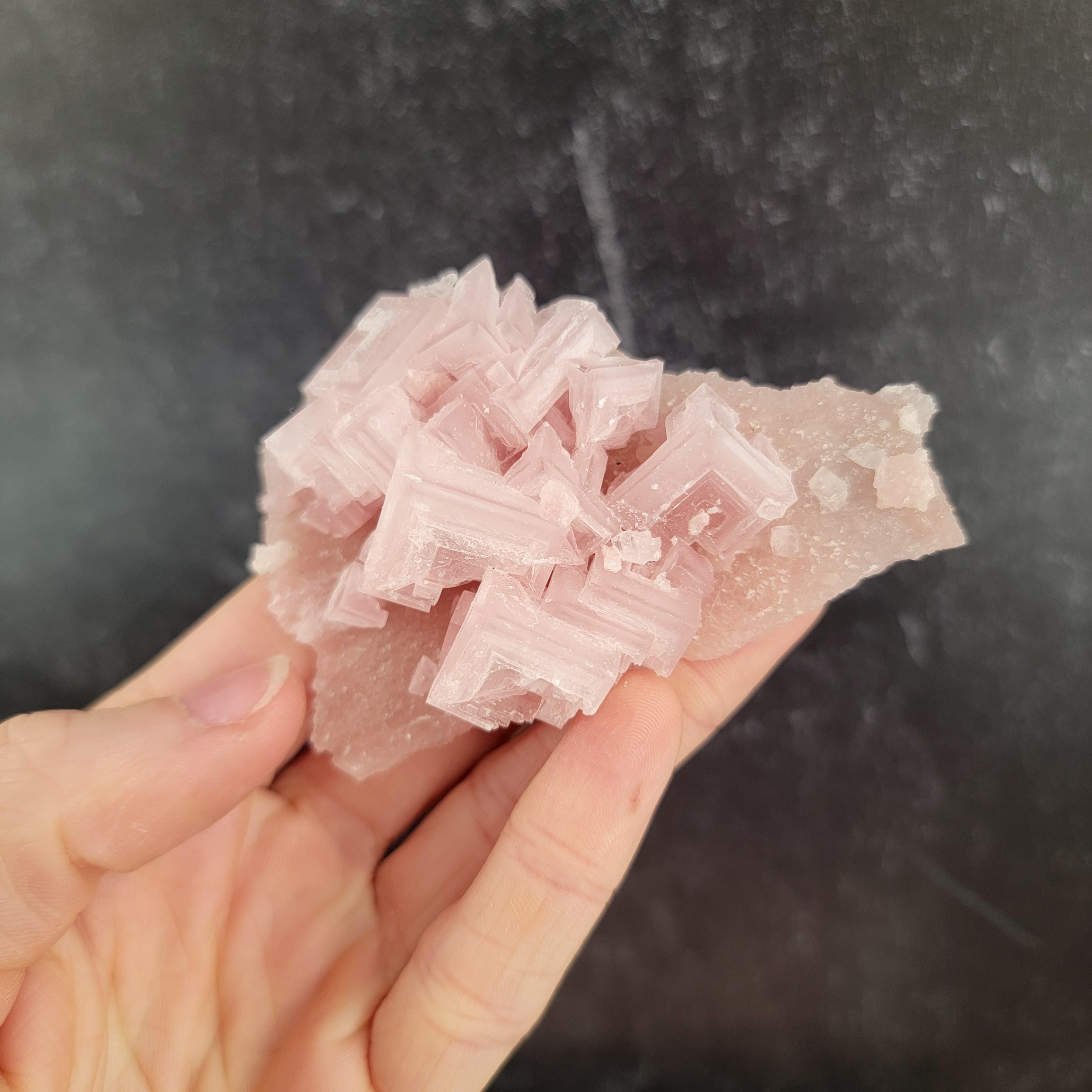 カリフォルニア州トロナ、サールズ湖産ピンク岩塩クラスター（岩塩