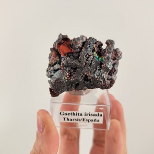 Könnte beinhalten: Nahaufnahme eines dunkelgrauen, irisierenden Goethit-Mineralien-Exemplars mit roten und kupferfarbenen Akzenten. Das Exemplar ist mit "Goethita irisada Tharsis/España" beschriftet und auf einem durchsichtigen Kunststoffsockel ausgestellt.