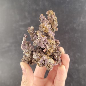 May include: A cluster of purple and brown coral rock, a popular addition to saltwater aquariums. The coral rock is a natural, porous material that provides a habitat for fish and invertebrates.